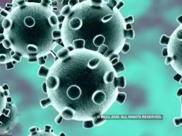 कोरोना वायरस सामने आने का 1 साल पूरा, आज ही के दिन चीन के वुहान शहर में सामने आया था पहला मामला