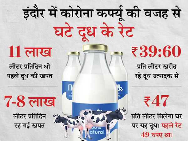 इंदौर में दूध 2 रुपए सस्ता: सेवा शुल्क के साथ बंदी का दूध 47 रुपए लीटर, दुकान पर मिलेगा 50 रु.