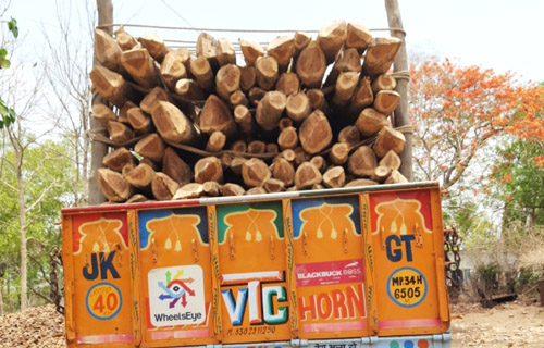 सागवान लकड़ी अवैध परिवहन मामले में तीन दिन बाद प्रकरण दर्ज