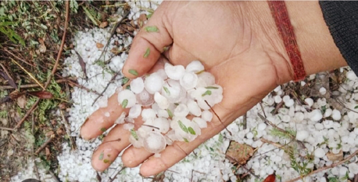 मंडला: बारिश के साथ हुई ओलावृष्टि से फसलों को नुकसान